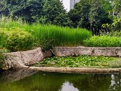 -成都市活水公园