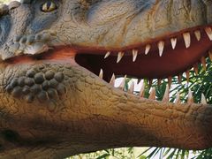 -海合安武汉极地海洋公园