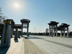 -王借岗森林公园
