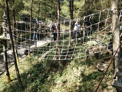 -梦幻奥陶纪景区