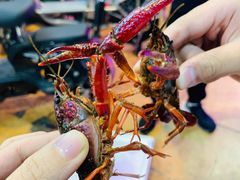 -熊记虾王·小龙虾(东晓南店)