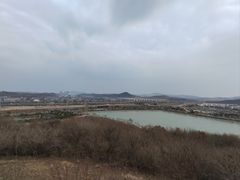-羊山湖公园