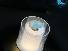 -良设夜宴 LIANGSHE