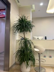 -上海时光整形外科医院
