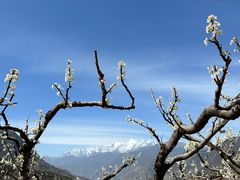 -萝卜寨羌文化生态旅游区
