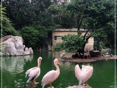 -昆明动物园