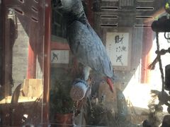 门面-百好乐宠物友好餐厅(朝外大街店)