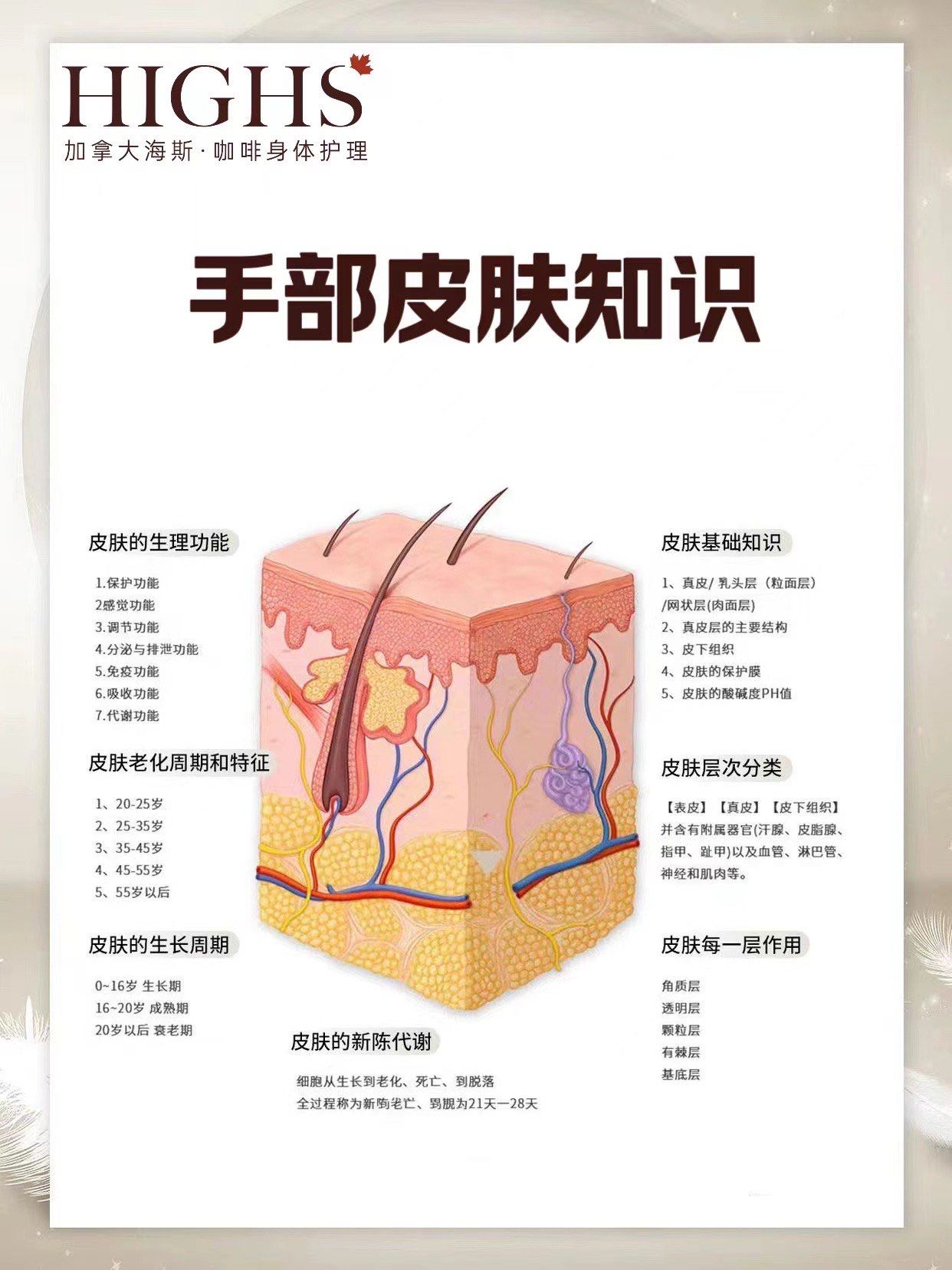 相对较于其他人体部位的皮肤,手部皮肤更薄