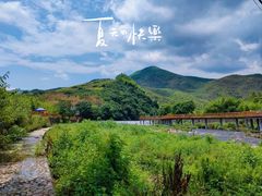 -山沟沟景区