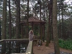 -重庆雨台山风景区