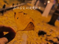 -八大关景区