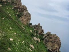 -白草畔自然风景区