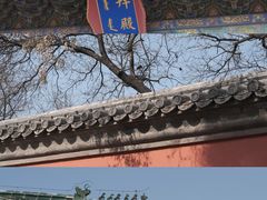 -三里河公园