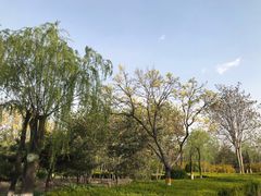 -绿堤公园