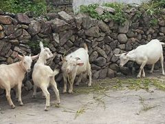 -楠溪江风景名胜区