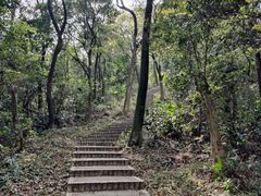 -广州市帽峰山景区