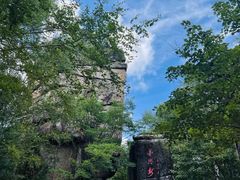 -汤旺河林海奇石景区