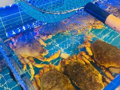 -金海湾海鲜排档(朱家尖店)