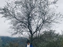 -石棉县孟获城