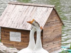 -金陵中学(河西分校)