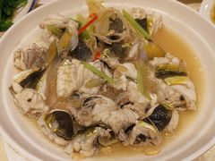 河豚-抱德·潮汕味(敦和店原惠城鱼仔)