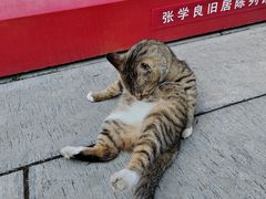 -张学良旧居陈列馆