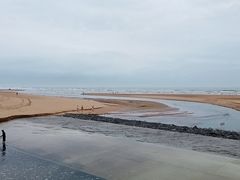 -日照海滨国家森林公园