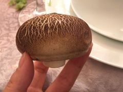 -上海玫瑰园度假酒店