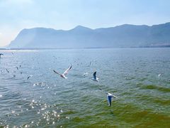 -海埂大坝