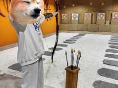 -城市猎人射箭馆(宝龙广场店)