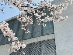 -龙美术馆(西岸馆)
