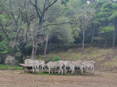 -沈阳森林动物园