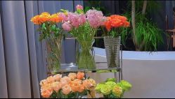 -花隐·美芙炫海菲秀皮肤管理中心