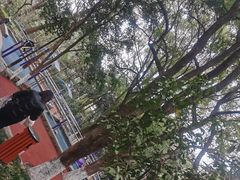 -杭州半山国家森林公园