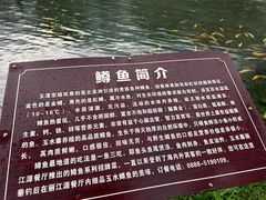 -丽江玉水寨
