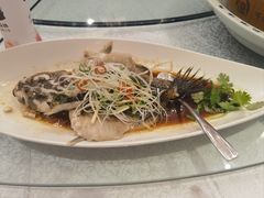 清蒸笋壳鱼-外高桥喜来登酒店采悦轩