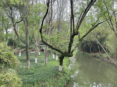 -西溪国家湿地公园