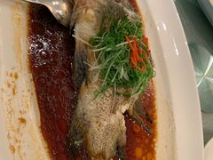 -伯衡55·吉品轩(乌鲁木齐南路店)