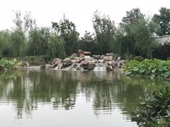 -北京国家会计学院