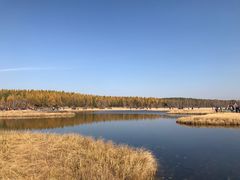 -塞罕坝国家级自然保护区