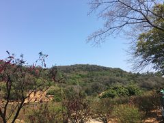 -南国桃园旅游度假区