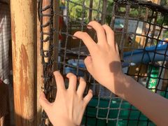 -重庆海昌加勒比海水世界
