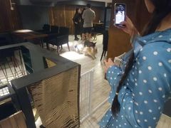 -百好乐宠物友好餐厅(朝外大街店)