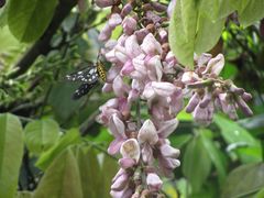 -华蓥山天意谷景区