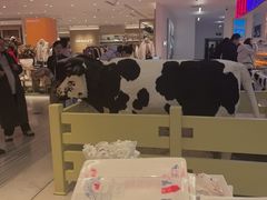 -红星前进面包牛奶公司(君太店)