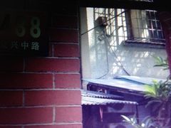 iphone_upload_pic-璐坊粽王(复兴中路店)