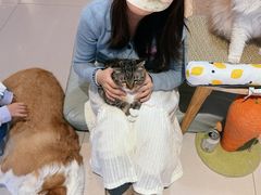 -平行世界·猫咖(首经贸店)