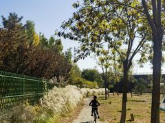 -永定河休闲森林公园