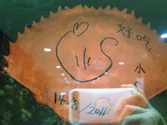 iphone_upload_pic-龙海鲜螃蟹王(宏茂桥店)