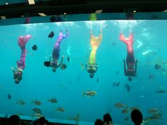 -瑞德姆美人鱼海底演艺主题餐厅(亚龙湾店)